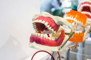 dental lab technician crafting dentures