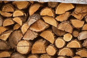 Choosing suitable firewood for home heating