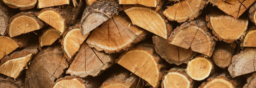Choosing suitable firewood for home heating